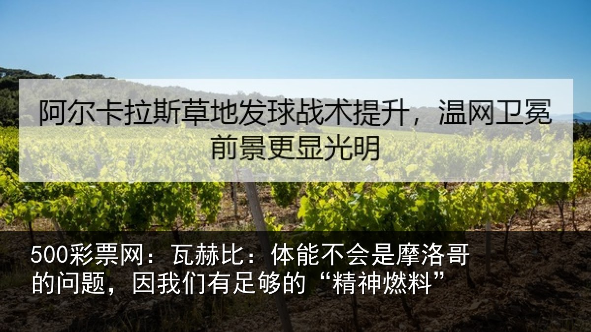 500彩票网：瓦赫相关情况哥的相关情况的“精神燃料”