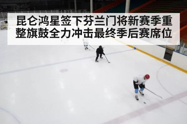 ice hockey rink